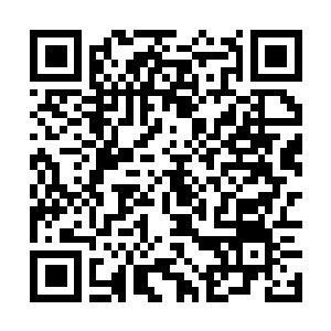 Link to your fundraiser QRCode - Fundraising