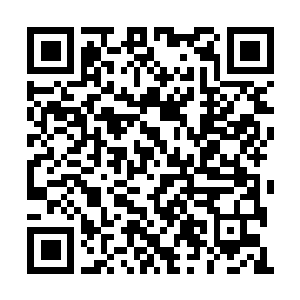 Link to your fundraiser QRCode - Fundraising