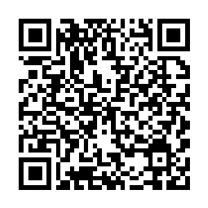 Link to your fundraiser QRCode - Fundraising
