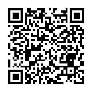 Link to your fundraiser QRCode - Fundraising