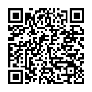 Link to your fundraiser QRCode - Fundraising