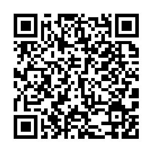 Link to your fundraiser QRCode - Fundraising