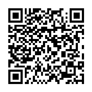 Link to your fundraiser QRCode - Fundraising