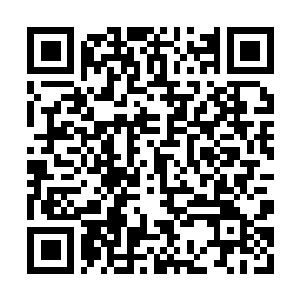Link to your fundraiser QRCode - Fundraising