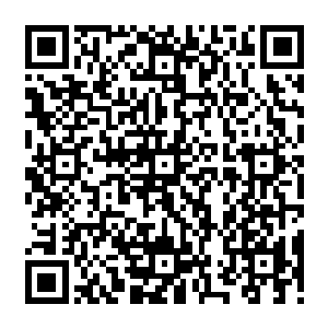 Link to your fundraiser QRCode - Fundraising