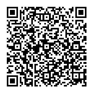 Link to your fundraiser QRCode - Fundraising