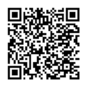 Link to your fundraiser QRCode - Fundraising