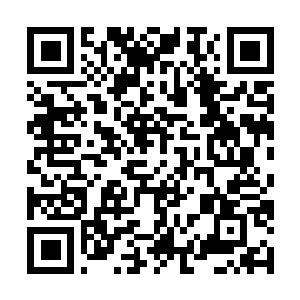 Link to your fundraiser QRCode - Fundraising
