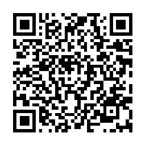 Link to your fundraiser QRCode - Fundraising