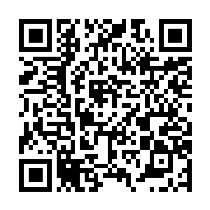 Link to your fundraiser QRCode - Fundraising
