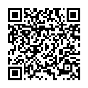 Link to your fundraiser QRCode - Fundraising