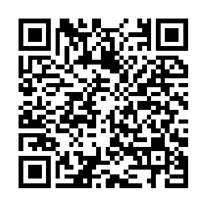 Link to your fundraiser QRCode - Fundraising