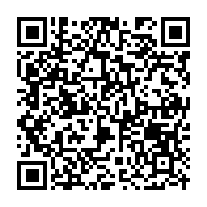 Link to your fundraiser QRCode - Fundraising