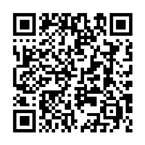 Link to your fundraiser QRCode - Fundraising