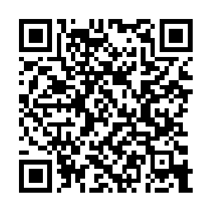 Link to your fundraiser QRCode - Fundraising