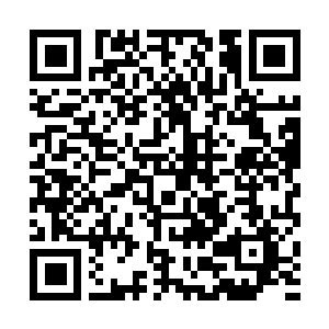 Link to your fundraiser QRCode - Fundraising