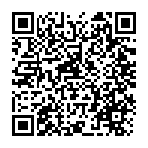 Link to your fundraiser QRCode - Fundraising