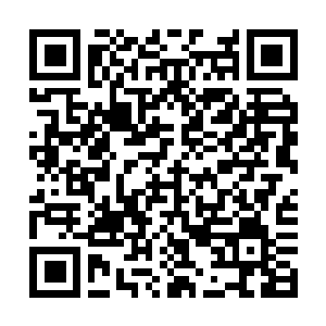 Link to your fundraiser QRCode - Fundraising