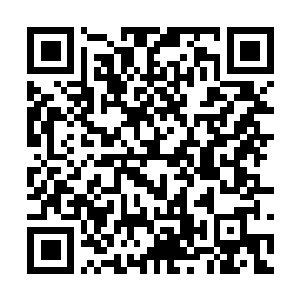 Link to your fundraiser QRCode - Fundraising