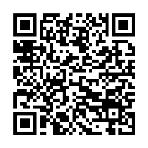 Link to your fundraiser QRCode - Fundraising