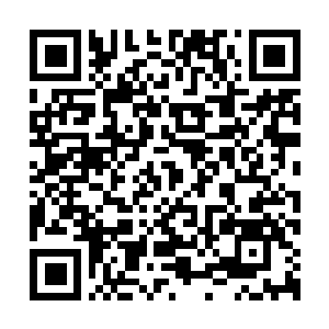 Link to your fundraiser QRCode - Fundraising