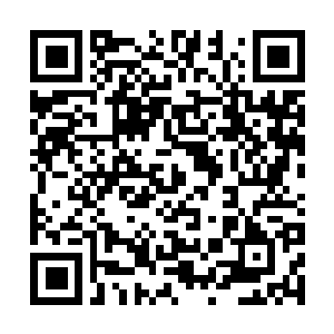 Link to your fundraiser QRCode - Fundraising