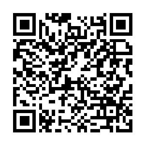 Link to your fundraiser QRCode - Fundraising