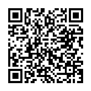 Link to your fundraiser QRCode - Fundraising