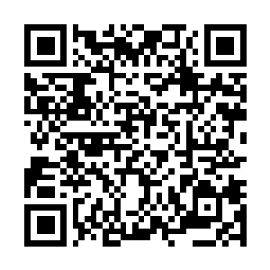 Link to your fundraiser QRCode - Fundraising
