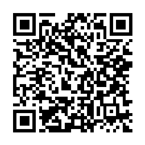 Link to your fundraiser QRCode - Fundraising