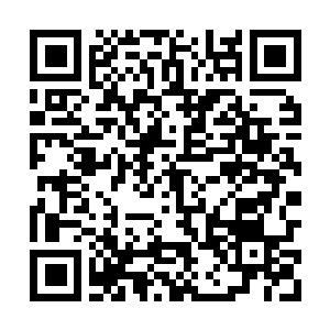 Link to your fundraiser QRCode - Fundraising