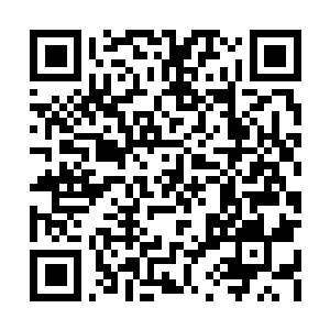 Link to your fundraiser QRCode - Fundraising