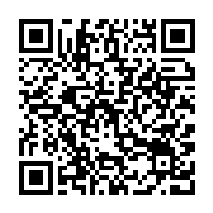 Link to your fundraiser QRCode - Fundraising