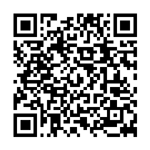 Link to your fundraiser QRCode - Fundraising