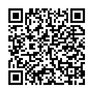 Link to your fundraiser QRCode - Fundraising