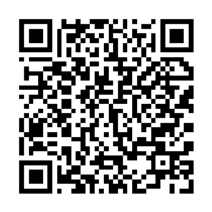 Link to your fundraiser QRCode - Fundraising