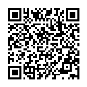 Link to your fundraiser QRCode - Fundraising