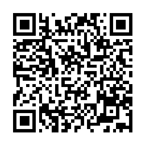Link to your fundraiser QRCode - Fundraising