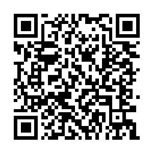 Link to your fundraiser QRCode - Fundraising