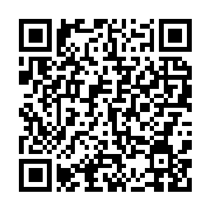 Link to your fundraiser QRCode - Fundraising