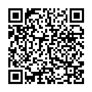 Link to your fundraiser QRCode - Fundraising