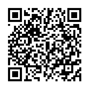 Link to your fundraiser QRCode - Fundraising