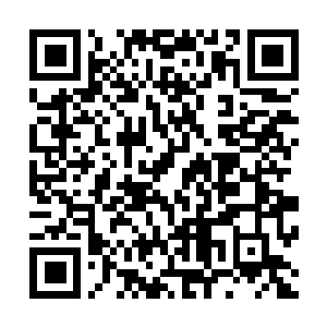 Link to your fundraiser QRCode - Fundraising