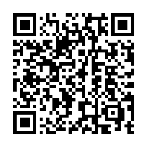 Link to your fundraiser QRCode - Fundraising