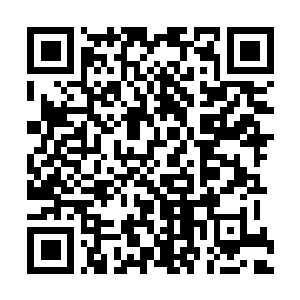 Link to your fundraiser QRCode - Fundraising
