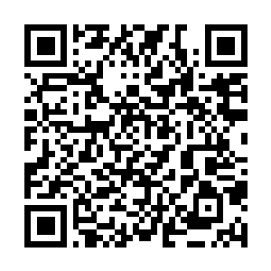 Link to your fundraiser QRCode - Fundraising