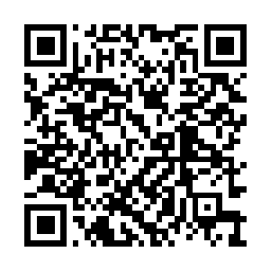 Link to your fundraiser QRCode - Fundraising
