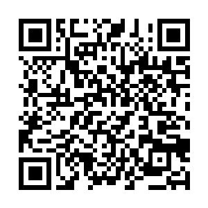 Link to your fundraiser QRCode - Fundraising