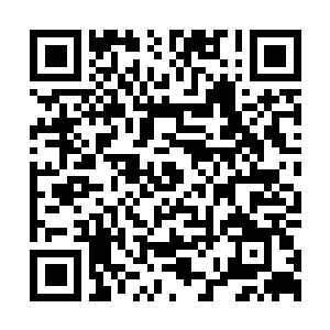 Link to your fundraiser QRCode - Fundraising
