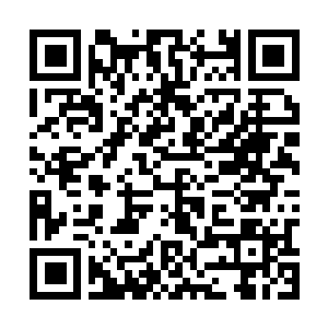 Link to your fundraiser QRCode - Fundraising
